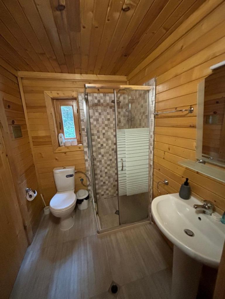 Chalet Sofia ボロヴェッツ エクステリア 写真