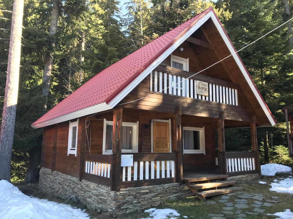 Chalet Sofia ボロヴェッツ エクステリア 写真